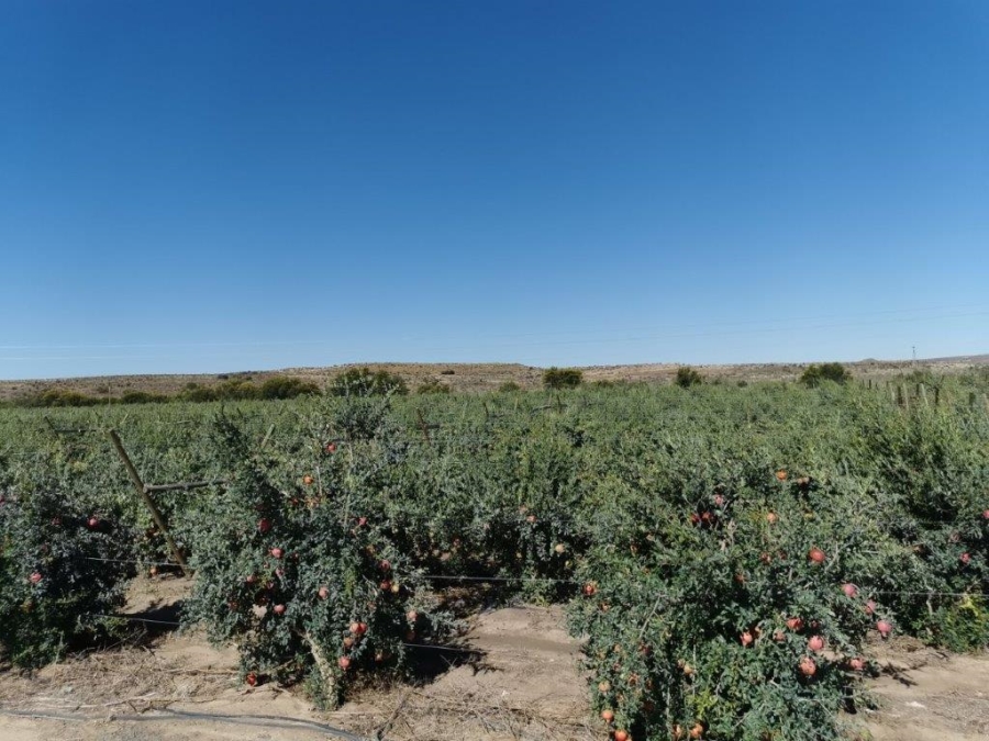 0 Bedroom Property for Sale in Merweville Western Cape